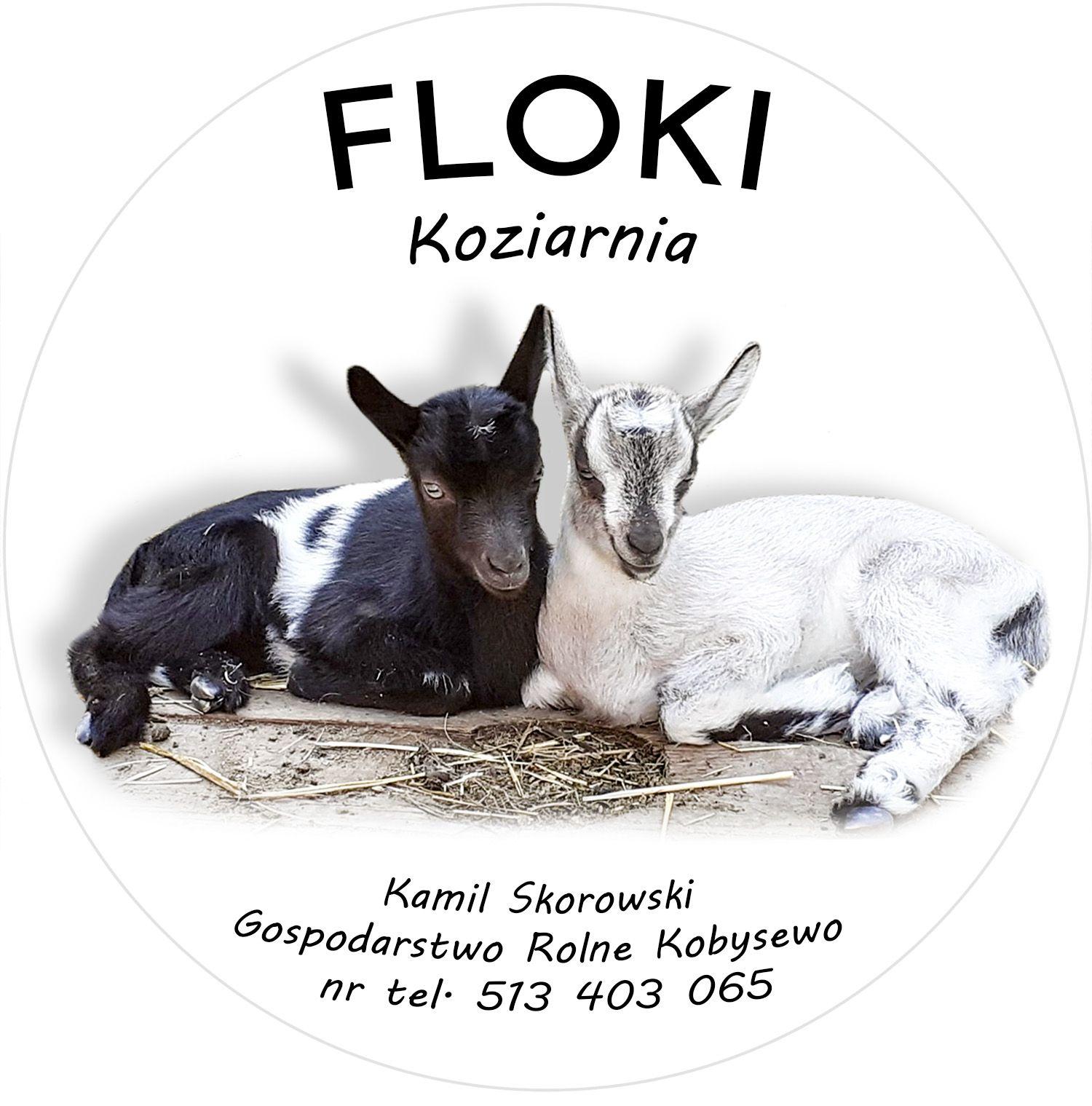 Floki Sery Kobysewo 