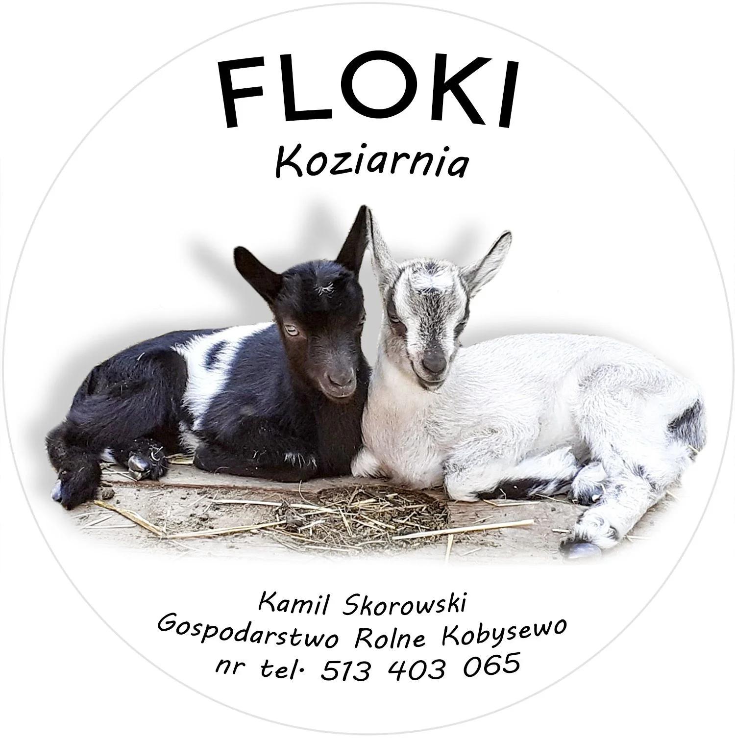 Floki Sery Kobysewo 