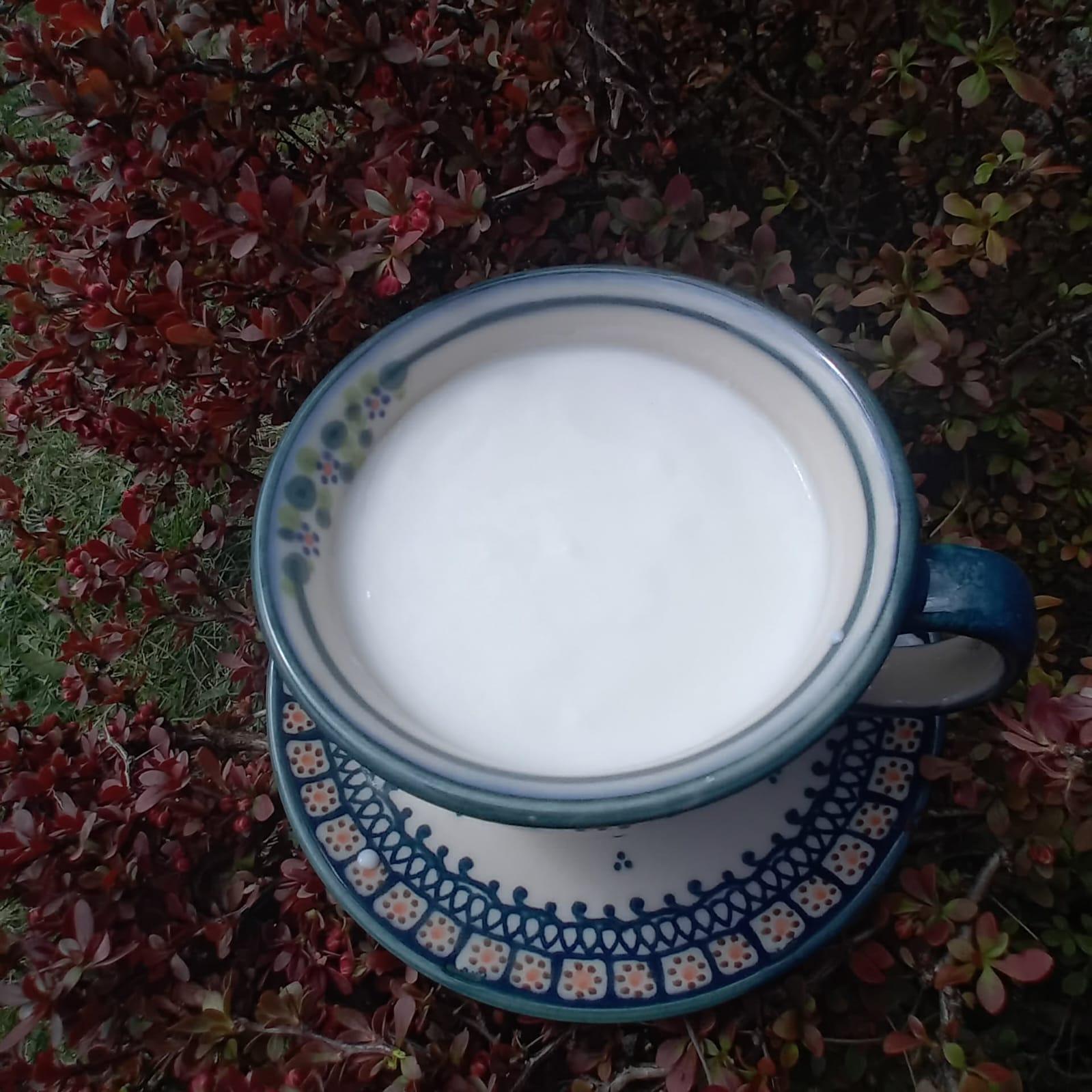 Jogurt kozi - zdjęcie 4